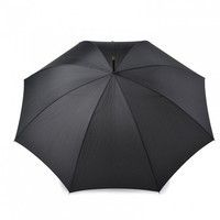Зонт Fulton Minister G809-009888 черный