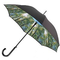 Зонт Fulton Bloomsbury-2 L754-036600 Sunburst 