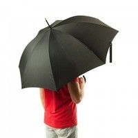 Зонт Fulton Governor-1 G801-001431 черный