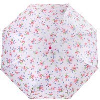 Зонт Fulton Minilite-2 L354-037706 Watercolor Blossom