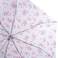Зонт Fulton Minilite-2 L354-037706 Watercolor Blossom