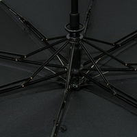Зонт складной полуавтомат Airton черный 3610
